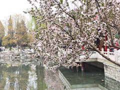 -莲池书院博物馆