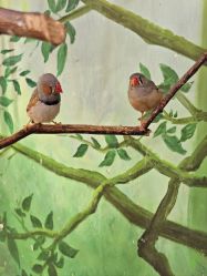 -Zoolung Zoolung动物主题公园(海信广场店)