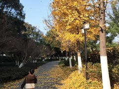 -范蠡湖公园