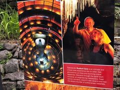 -怀托摩萤火虫洞