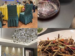 -四季春