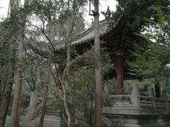 -汇龙潭