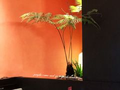 卡座-羽鸽集·乳鸽专门店·地道顺德菜(岭南站店)