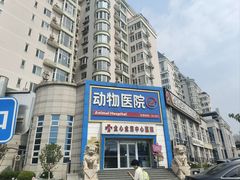 -全心全意动物诊疗中心医院(北苑店)