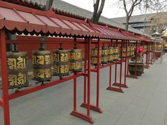 -护国法轮寺