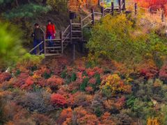 -九如山休闲旅游度假区