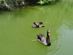 -千岛湖东南湖区
