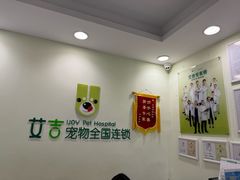 -艾吉宠物医院·疑难杂症转诊中心·猫友好(碧江路院)
