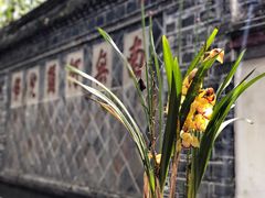 -宝光寺