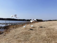 -渤公岛生态公园