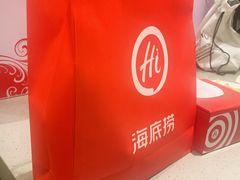 -海底捞火锅(铂澜大象城店)