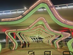 -演武大桥观景平台