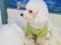 -怪兽屋·羊驼·猫咖·狗咖(俊华广场店)