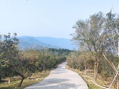 -北京西山国家森林公园