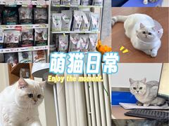 -宠福鑫动物医院(立水桥分院)