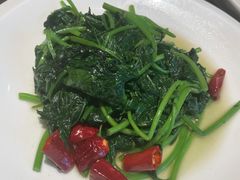 -金鼎轩(方庄天坛店)