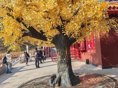 -青岩寺风景区