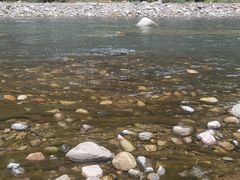 -白河湾生态旅游一条川
