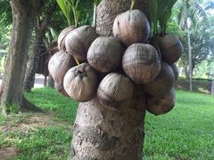 -红色娘子军纪念园