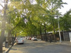 android_upload_pic-三里屯东五街银杏大道