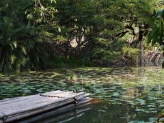 -中国科学院西双版纳热带植物园