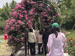 -上海交通大学(闵行校区)