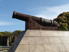 -吴淞炮台湾湿地森林公园烧烤区