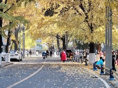 -四川大学(华西校区)