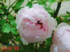 -六和塔文化公园