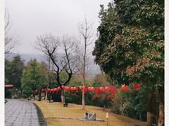 -敬亭山风景名胜区