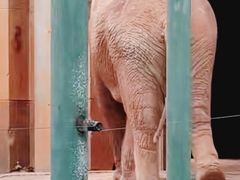 -昆明动物园