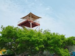 -巨鹏飞梦幻海岸