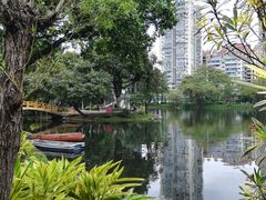 -晓港公园
