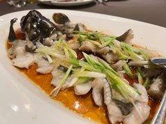 黄皮老虎斑-三利音·东方司宴(外滩店)