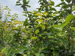 -满天星量贩式KTV(汉阳摩尔城店)