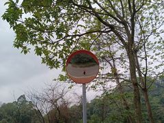 -火炉山森林公园