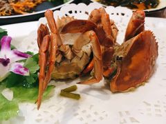 -友强·23年特色海鲜大排档(厦门店)