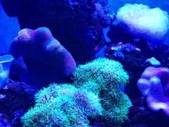 -多彩贵州城极地海洋世界