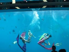 -瑞德姆美人鱼海底演艺主题餐厅(亚龙湾店)