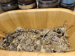 -川骄海鲜自助(亚运村店)