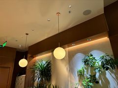 -奈雪的茶(石家庄万象城店)