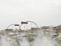 -荷兰花海