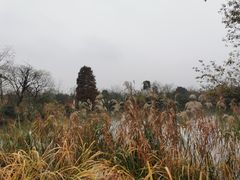 -新荣记(西溪湿地店)