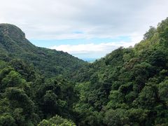 -热带雨林自然公园