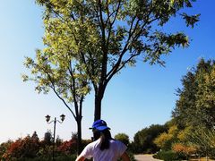 -永定河休闲森林公园