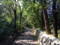 -阳台山自然风景区