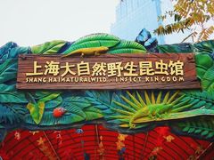 -上海大自然野生昆虫馆(东方明珠·爬宠昆虫探索中心)