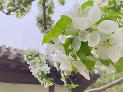 -团结湖公园