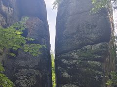 -汤旺河林海奇石景区