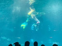 -福州罗源湾海洋世界旅游区